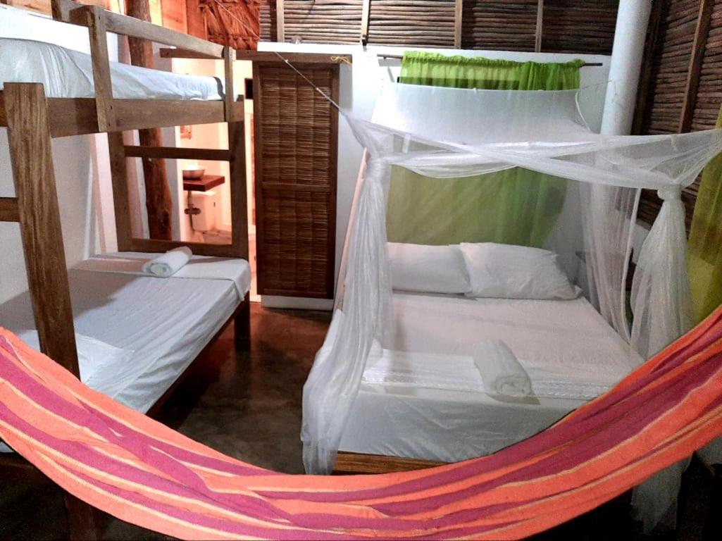 Ecohotel Kocoluu 산 베르나르도 델 비엔토 외부 사진